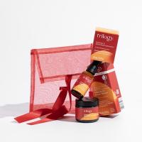 Cエッセンシャルズ