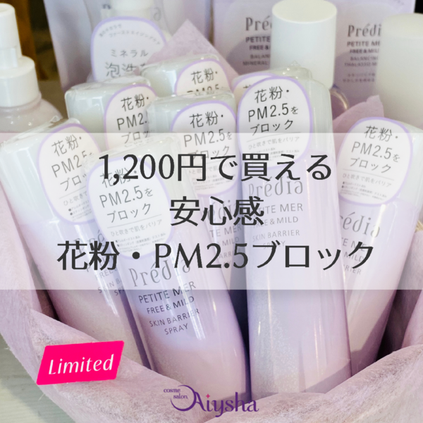 花粉・PM2.5対策☆1,200円で手に入る安心感
