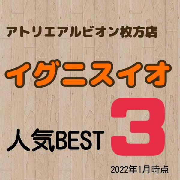【イグニスイオ】2022年1月★人気BEST3★