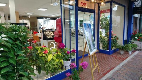 オオヤ化粧品店 旭