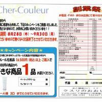 超お買得!シェルクルール創業祭で20%還元✨