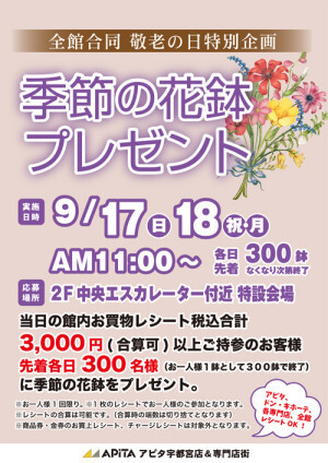 大人気✾アピタ宇都宮店季節の花鉢プレゼント開催🎁