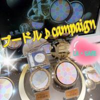 🌹『ラ プードル✨キャンペーン❣️』実施中 🌟🌟