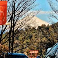 【冬の箱根のベストスポットはここ!】❤足腰が弱ったと感じる方に!