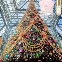 【 さすがディズニー、クリスマスツリーが! 】 ❤ミラコレGRのパルファムが凄すぎ