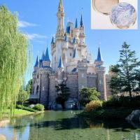 【シンデレラ城はいつ見てもいい!】❤お手入れ最後につけると美白に