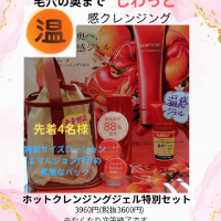 ベネフィークホットクレンジングジェル特別セット