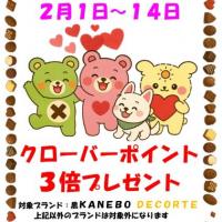 バレンタインセール開催中