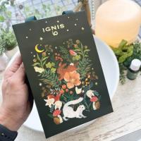 【IGNIS iO】から『ギフトバッグ』のご紹介🎁✨