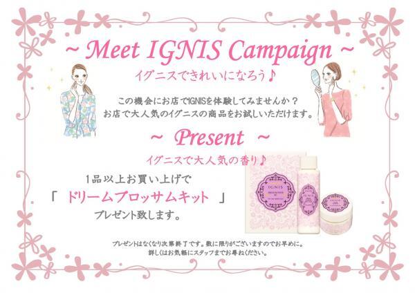 MEET IGNIS CAMPAIGN 【四国限定】